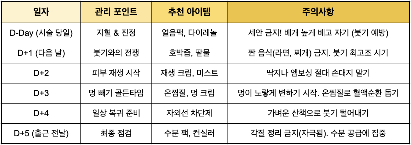 연휴 피부시술 후 5일간의 일자별 붓기 및 멍 관리 회복 루틴 인포그래픽
